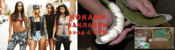 стафф Арсеньев