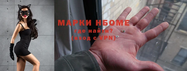стафф Арсеньев