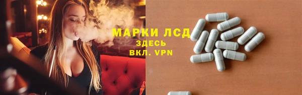 стафф Арсеньев
