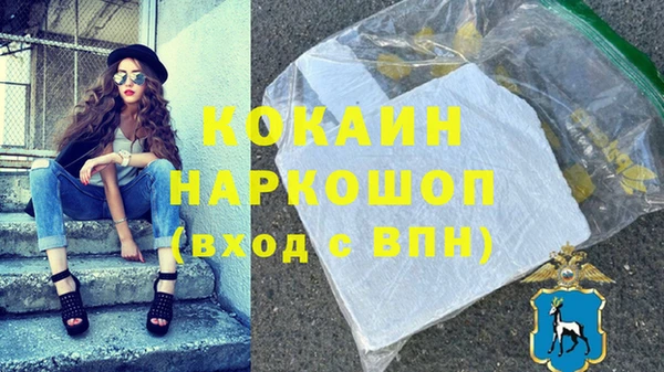 стафф Арсеньев