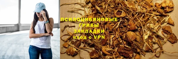 индика Армянск