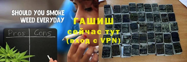 индика Армянск