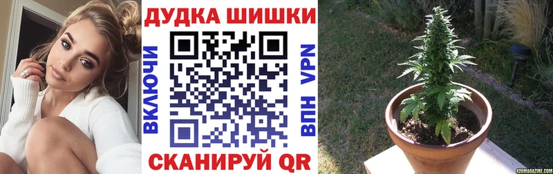 Каннабис гибрид Качканар